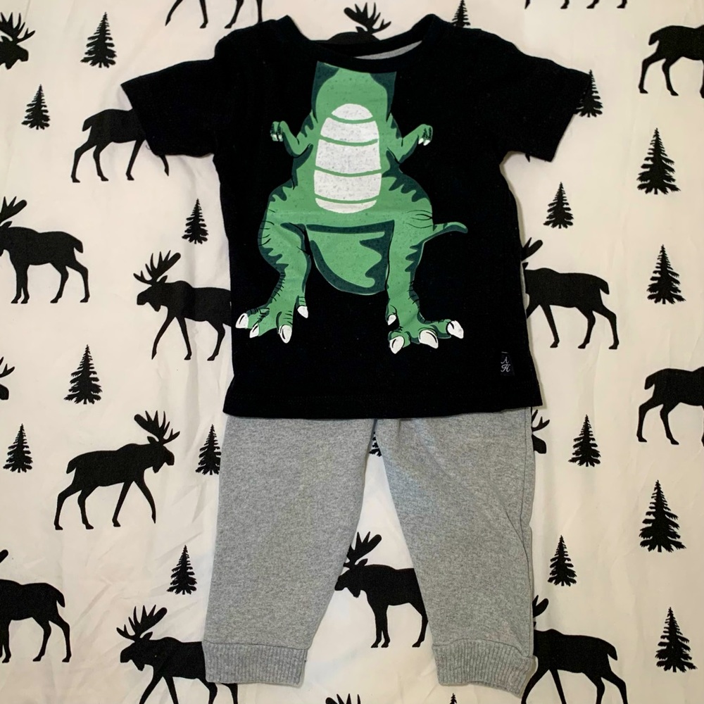 American Hawk Black Gray Green Dinosaur Print Baby Boy Matchin Set 18 Shirt Pant